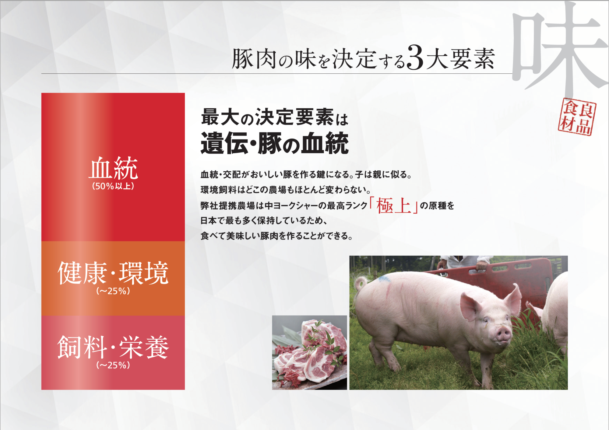 富士幻豚の品種について 富士幻豚 ふじげんとん 公式webサイト